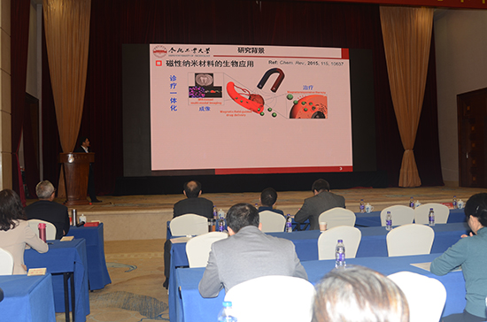 合肥工作大學陸楊教授作報告.JPG