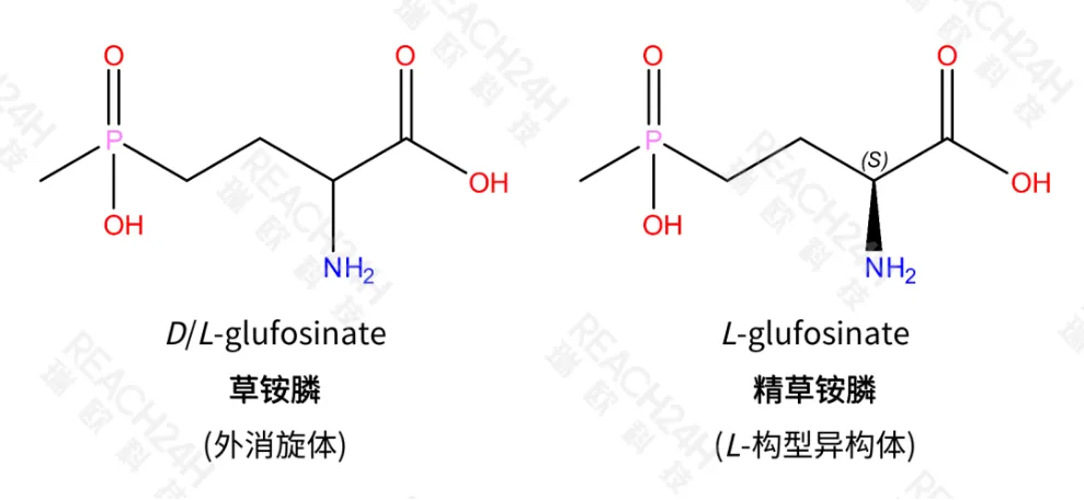 精草銨膦