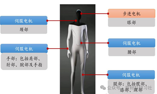 人形機器人2.jpg