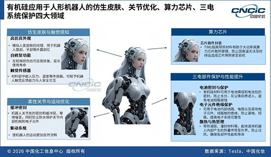 十五五2.jpg
